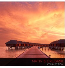 Nativ & Crosmik - Connection (Original Mix)