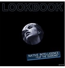 Native Intelligence - Flip The Diamond