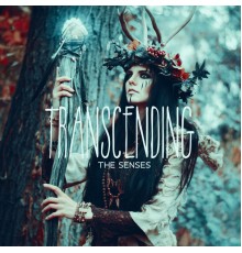 Native Shamanic World - Transcending the Senses (Native American Shamanic Meditation)
