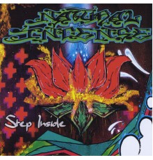 Natural Incense - Step Inside