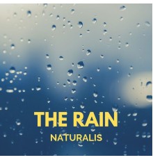 Naturalis - The Rain