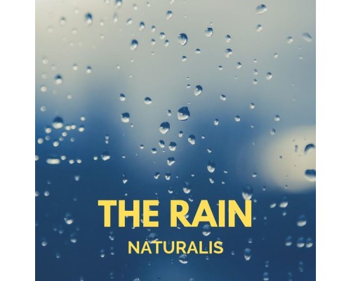 Naturalis - The Rain