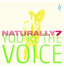 Naturally 7 - You're the Voice