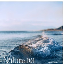 Nature 101 - Deep Ocean