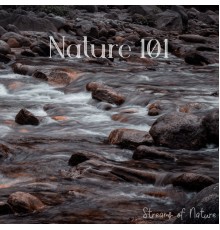 Nature 101 - Streams of Nature