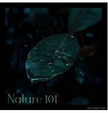 Nature 101 - Late Night Rain