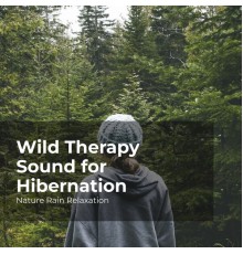 Nature Rain Relaxation, Rain Recorders, Rainfall - Wild Therapy Sound for Hibernation