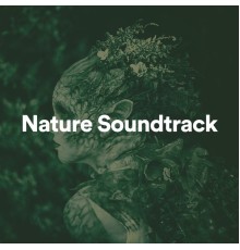 Nature Sound Collection - Nature Soundtrack