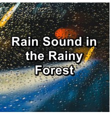 Nature Sounds – Sons de la nature, Nature and Rain, Sleep Sounds of Nature, Paudio - Rain Sound in the Rainy Forest