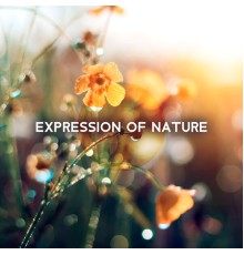 Nature Sounds Artists|Life Sounds Nature - Expression of Nature – Deep Relaxation for Mind