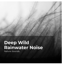 Nature Sounds, Sleep Sounds of Nature, Nature Sounds Nature Music - Deep Wild Rainwater Noise
