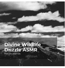 Nature Sounds, Sleep Sounds of Nature, Nature Sounds Nature Music - Divine Wildlife Drizzle ASMR