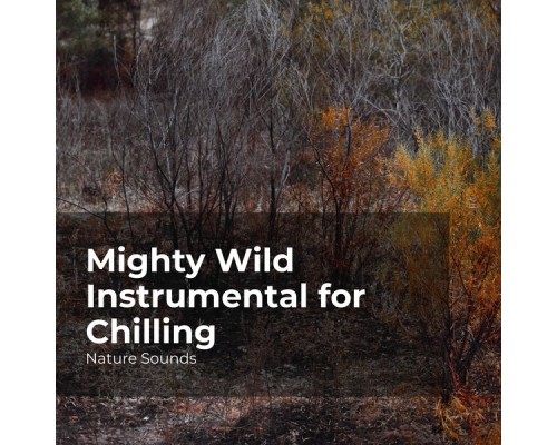 Nature Sounds, Sleep Sounds of Nature, Nature Sounds Nature Music - Mighty Wild Instrumental for Chilling Nature Sounds, Sleep Sounds of Nature, Nature Sounds Nature Music - Mighty Wild Instrumental for Chilling