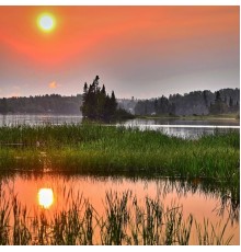 Nature Sounds XLE Library, Noise&Ambient Lab - Swamp Mud Calming Revitalising Sounds Loopable