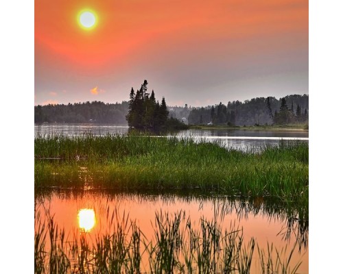 Nature Sounds XLE Library, Noise&Ambient Lab - Swamp Mud Calming Revitalising Sounds Loopable Nature Sounds XLE Library, Noise&Ambient Lab - Swamp Mud Calming Revitalising Sounds Loopable