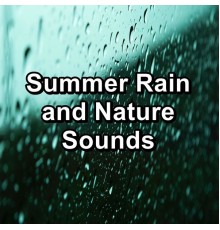 Nature Sounds for Sleep, Nature Music, Nature Sounds for Relaxation, Paudio - Summer Rain and Nature Sounds