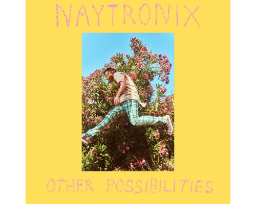 Naytronix - Other Possibilities