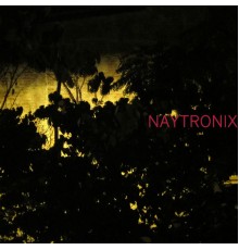 Naytronix - Naytronix