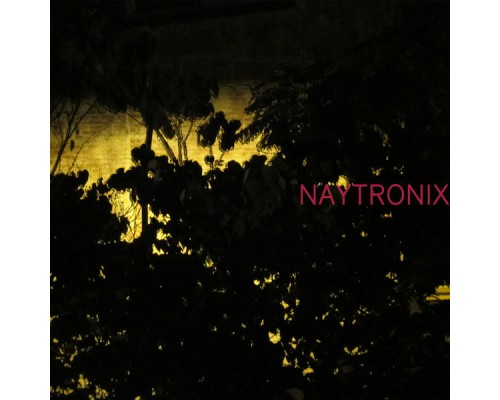 Naytronix - Naytronix