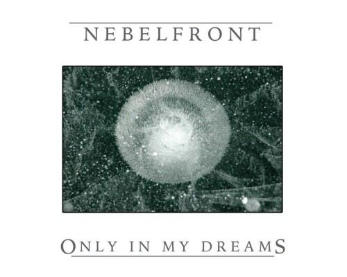 Nebelfront - Only in My Dreams