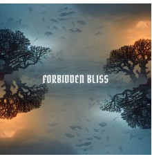 Nebensache - Forbidden Bliss