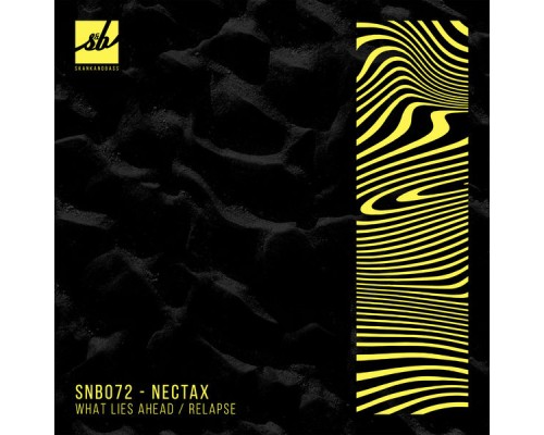 Nectax - What Lies Ahead / Relapse