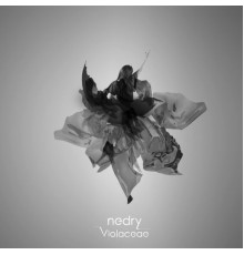 Nedry - Violaceae - Single