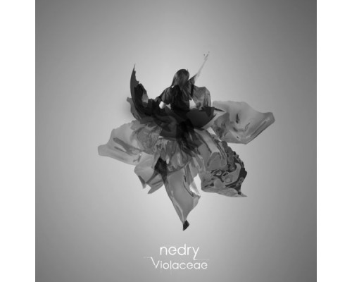 Nedry - Violaceae - Single