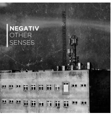 Negativ - Other Senses