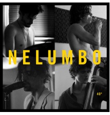 Nelumbo - 40º