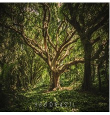 Neraines - Yggdrasil