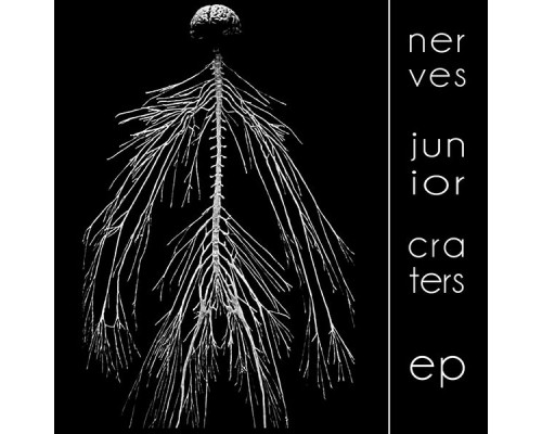 Nerves Junior - Craters