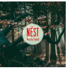 Nest - Nearly Faded