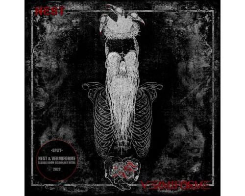 Nest & Vermiforme - Split