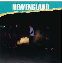 New England - Walking Wild