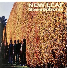 New Leaf - Stereophonic