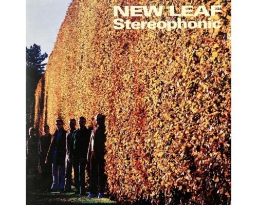 New Leaf - Stereophonic