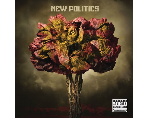 New Politics - New Politics