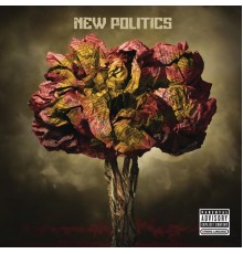 New Politics - New Politics