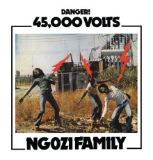 Ngozi Family - 45,000 Volts