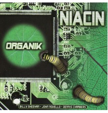 Niacin - Organik