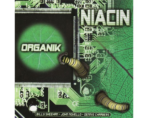 Niacin - Organik