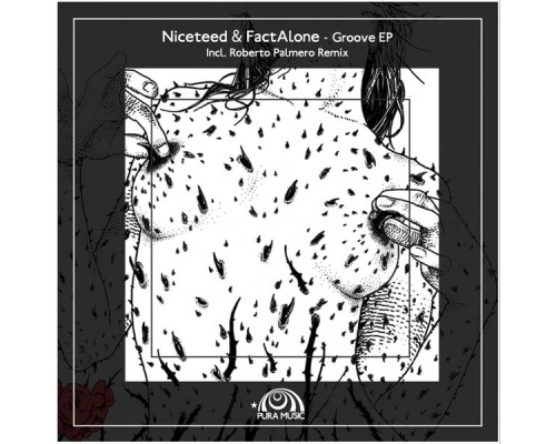 Niceteed, FactAlone - Groove EP