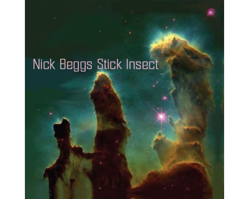Nick Beggs - Stick Insect Nick Beggs - Stick Insect