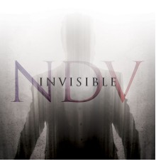 Nick D’Virgilio - Invisible