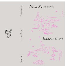 Nick Storring - Exaptations