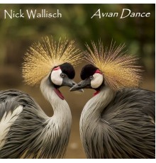 Nick Wallisch - Avian Dance