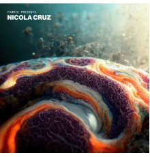 Nicola Cruz - fabric presents Nicola Cruz (DJ Mix)