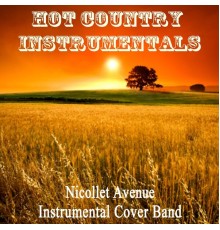 Nicollet Avenue Instrumental Cover Band - Hot Country Instrumentals