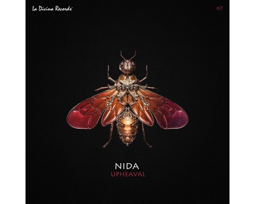 Nida - Upheaval